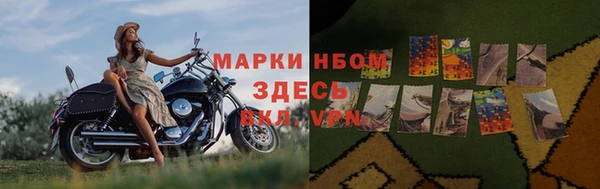 дмт Россошь