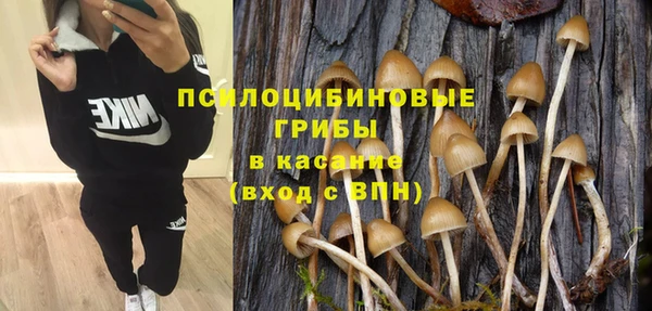 дмт Россошь