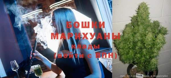 дмт Россошь